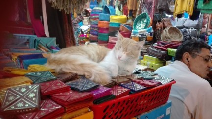 _storage_emulated_0_DCIM_Camera_IMG_20161029_215820 (1)